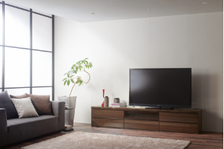 家具選びのポイント_テレビボード・壁面収納 - パモウナ